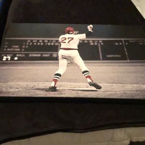 Wooden baseball picture